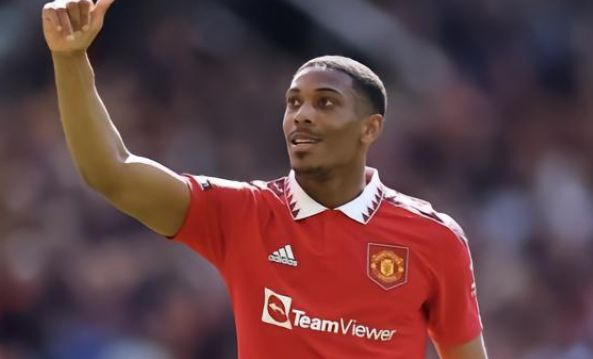 来的可能 来的可能